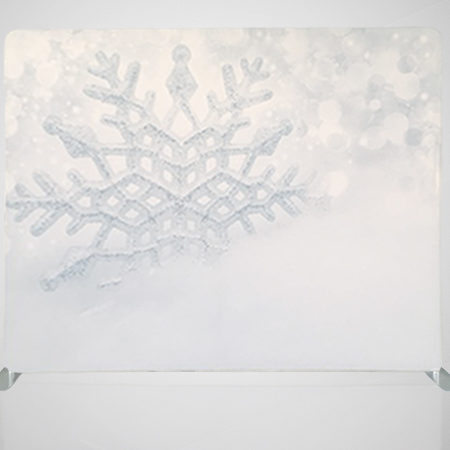 Photo Booth Rental St. Louis